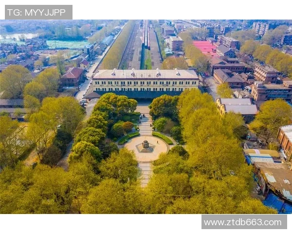 南京乒乓球队杯赛征程回顾与突破历程的深度剖析